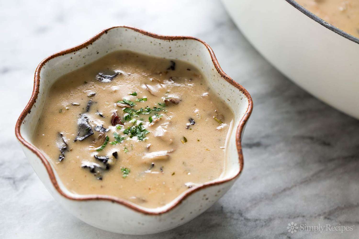 Wild  Mushroom soup